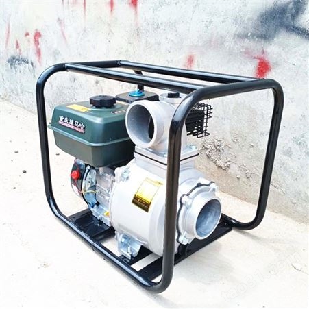 常年供应抽水泵 小型抽水泵 自动抽水泵