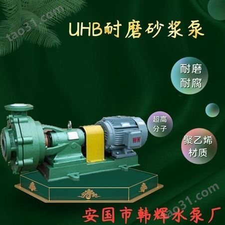 80UHB-ZK50-50-18.5KW浆液泵 耐腐耐磨砂浆泵选型 化工循环离心泵 韩辉