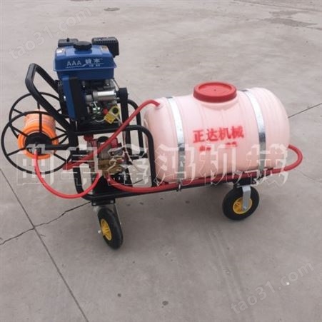果树手推式喷雾器 200升汽油打药机 农用汽油打药喷雾机