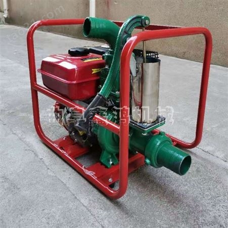 6寸柴油推车离心泵 抽污水用抽水泵 农田灌溉自吸泵4寸