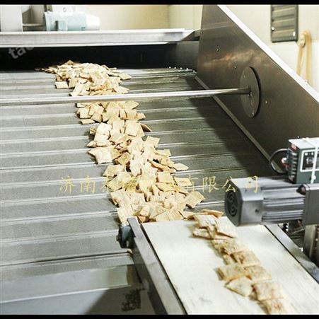 河南拉丝蛋白设备厂家 泰诺蛋白素肉加工设备供应商