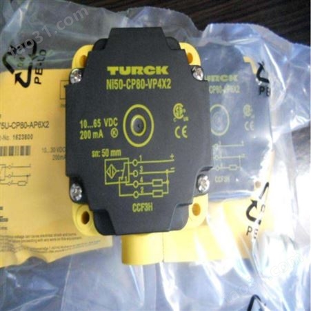 Turck图尔克传感器BL67-16DI-P电子模块