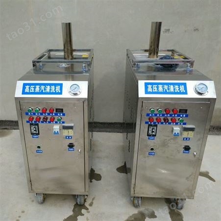 高阳厂家多功能高温高压蒸汽洗车机 燃气型蒸汽清洗机 蒸汽清洁机