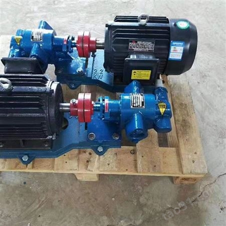 不锈钢304齿轮泵 KCB不锈钢泵 加工定制 齿轮油泵 行业经验丰富