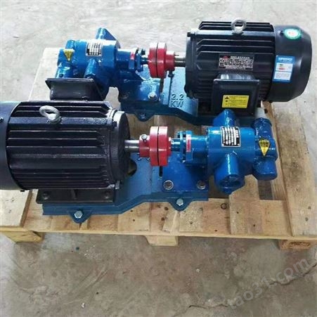 生产出售 KCB不锈钢泵 立式齿轮泵 铸钢齿轮泵 质量优良