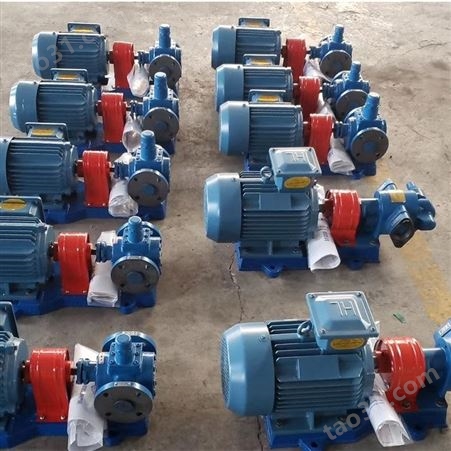 保温型齿轮泵 不锈钢齿轮油泵 生产出售 型号多样 齿轮泵