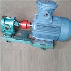 2cy-5齿轮油泵 铸铁电动卧式齿轮泵 齿轮输油泵 质量放心