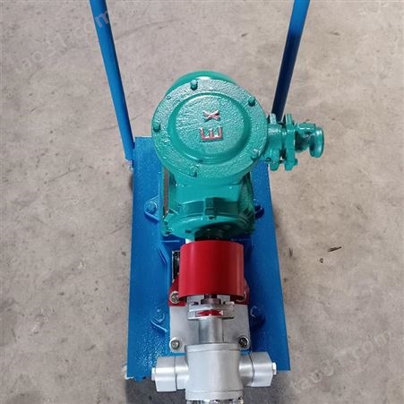 销售 高粘度齿轮泵 移动推车齿轮泵 不锈钢304齿轮泵 可定制