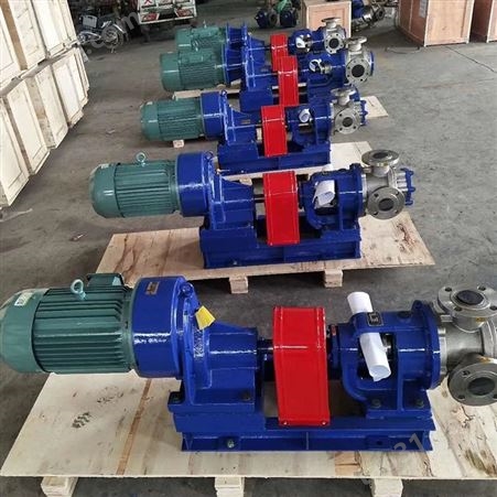 罗茨转子泵 NYP0.78转子泵 高粘度泵 可定制