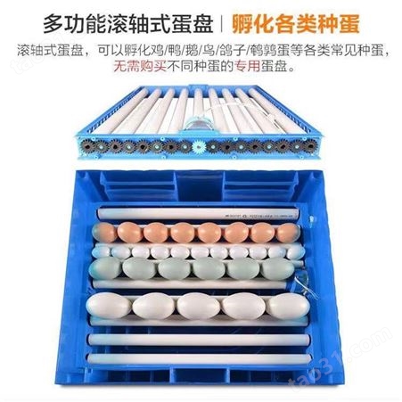 中禧机械 多功能禽类孵化机 养殖场孵蛋机 家用孵化器 ZX-09