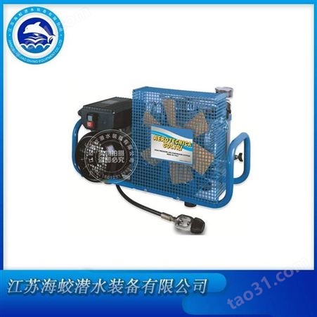科尔奇高压空气压缩机MCH16/ET系列 工程潜水呼吸充气泵