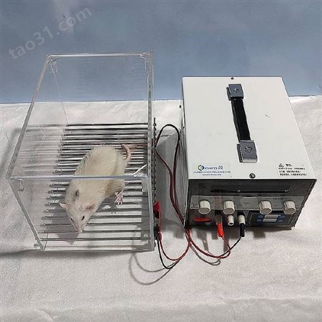 河南智科电刺激仪小动物电刺激实验应急实验习得性无助实验声光电刺激仪