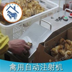 西藏有卖小鸡注射器