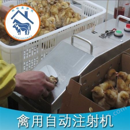 西藏有卖小鸡注射器