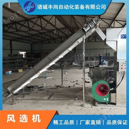 FS-3风选机 全自动大型大枣毛豆果蔬风选设备 丰尚自动化