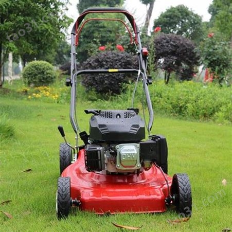 单人手推式割草机 汽油草坪机 园林绿化除草机