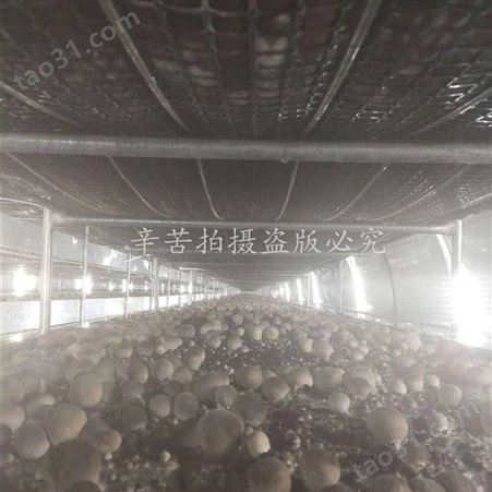 山东厂家批发 养殖大棚空调 蘑菇养殖大棚空调 金葫