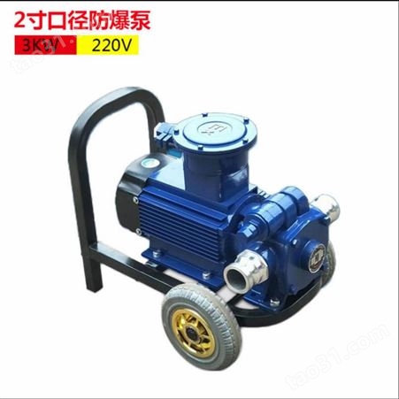自吸油泵 甲醇汽油柴油加油泵 200V 防爆油泵