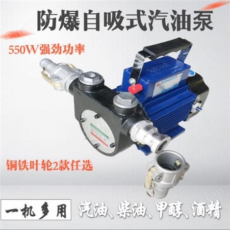 自吸油泵 甲醇汽油柴油加油泵 200V 防爆油泵