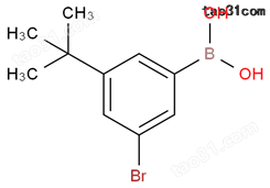 3-溴-5-叔丁基苯硼酸