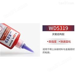 康达WD5319 高粘度 螺丝防松厌氧胶水