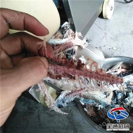 商用鱼糜提取机 厂家加工定制鱼肉采肉机 150型鲅鱼采肉机