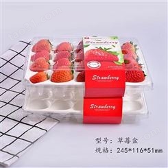 蔬果盒 水果托盘 蓝莓盒 果蔬盒吸塑包装-上海柏菱厂家直供