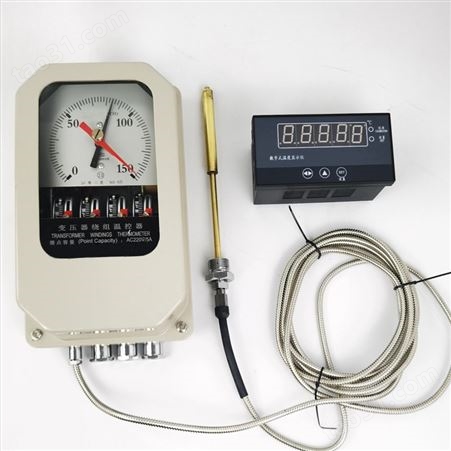 河北变压器绕组温控器测试仪BWR-04