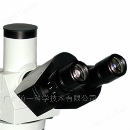M50正置金相显微镜