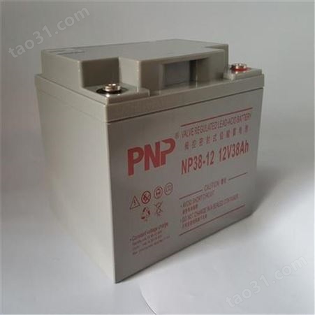 PNP蓄电池12V200AH代理报价