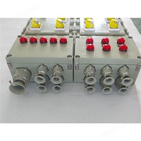 初途-巢湖专业生产防爆配电箱厂家电话BXMD52