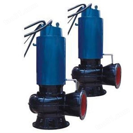 QWP不锈钢潜水排污泵 DN32 小型工业潜污泵