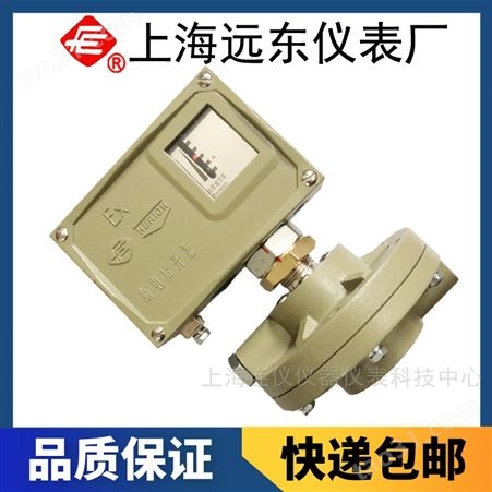 上海远东仪表厂D530/7DD差压控制器0859381防爆型
