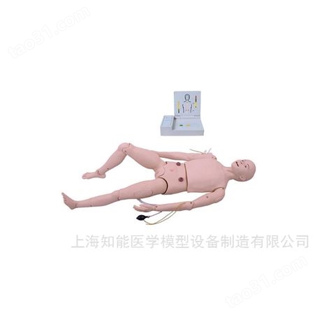 广东急救护理模拟人 多功能急救护理训练模拟人