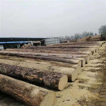 厂家直供白松木方批发 呈果木业