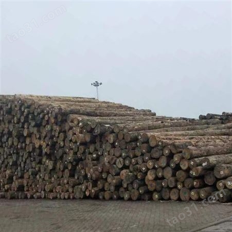 工程木方尺寸 呈果木业15x15白松工程木方加工厂家平价批发销售