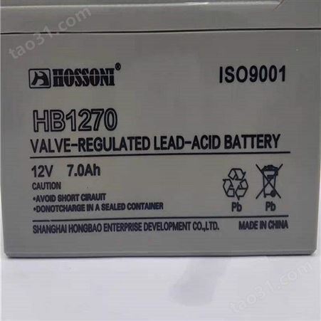 鸿宝蓄电池HB12500 12V50AH 20HR 阀控式铅酸免维护hossoni蓄电池