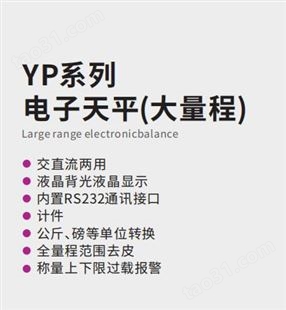天津德安特YP系列 十分之一电子天平 大量程 YP10K-1 YP15K-1 YP20K-1