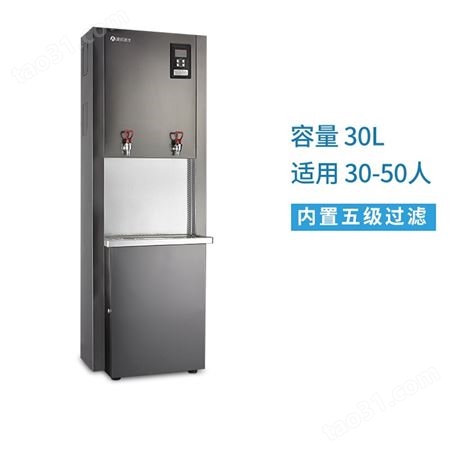 荆州 温热直饮机 商用纯水机 宏伟佳能