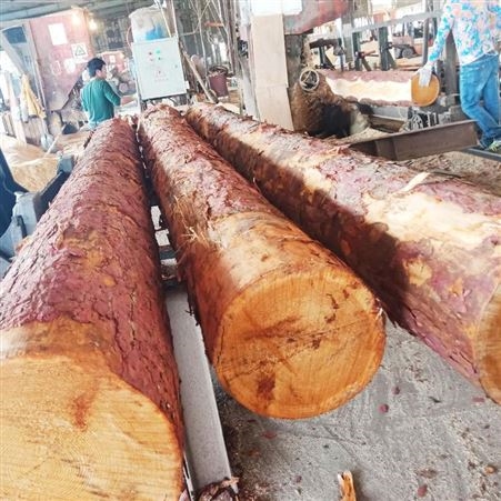 呈果木业花旗松新西兰松木加拿大铁杉进口国产松