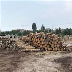 木方松木一根价格 盐城市建筑用木方尺寸_呈果木业