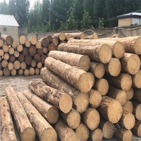 工程木方规格工程木方供应工程木方报价量大从优_呈果木业