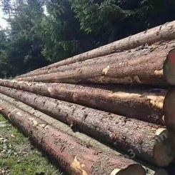 呈果木业建筑木方批发 5米花旗松建筑木方厂家定制销售