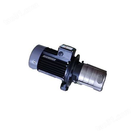 verdermix泵带电机 VSM-8/550-650/28-PS/175 0.55kw