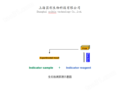 ZC-S0510 中性转化酶（NI）检测试剂盒