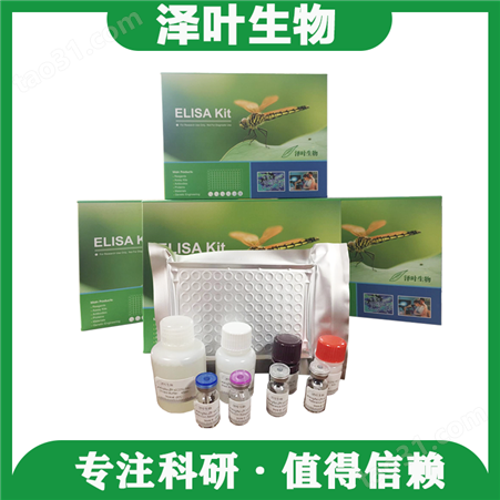 Human （MRPL53）ELISA Kit（ZY-E10236H）ELISA试剂盒