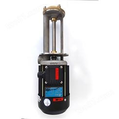 胶囊注射机高温热油立式泵