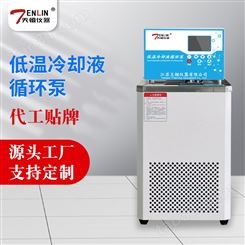 天翎仪器DL-2010低温冷却循环泵反应釜降温水浴槽