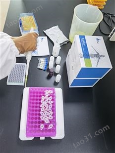人转录因子SOX5(SOX5)ELISA试剂盒