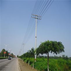 四回路24米输电钢杆 输变电线路钢杆 架线终端钢杆10kv